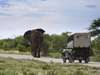Villa Mushara - Game Drive2 